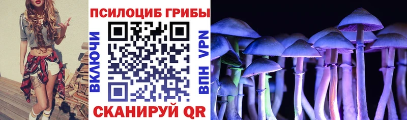 дарнет шоп  Барыш  Псилоцибиновые грибы Psilocybe 